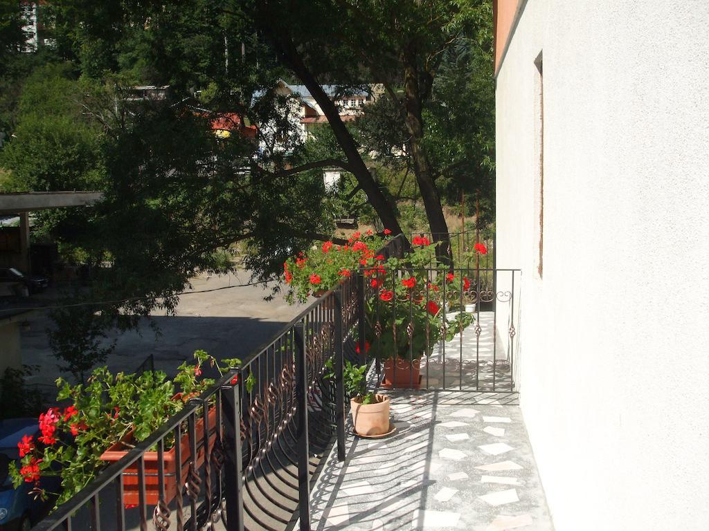Vila Ana-Maria Sinaia Ruang foto