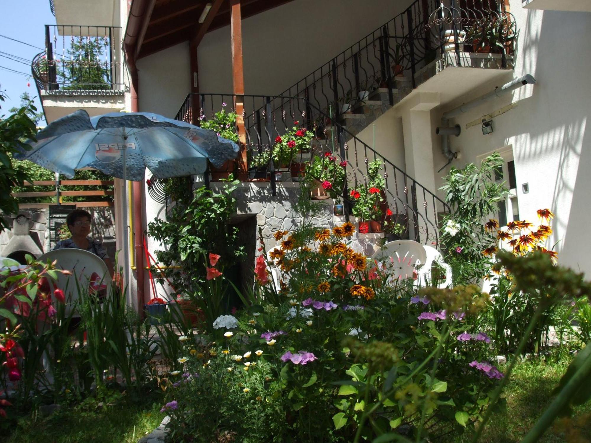 Vila Ana-Maria Sinaia Bagian luar foto