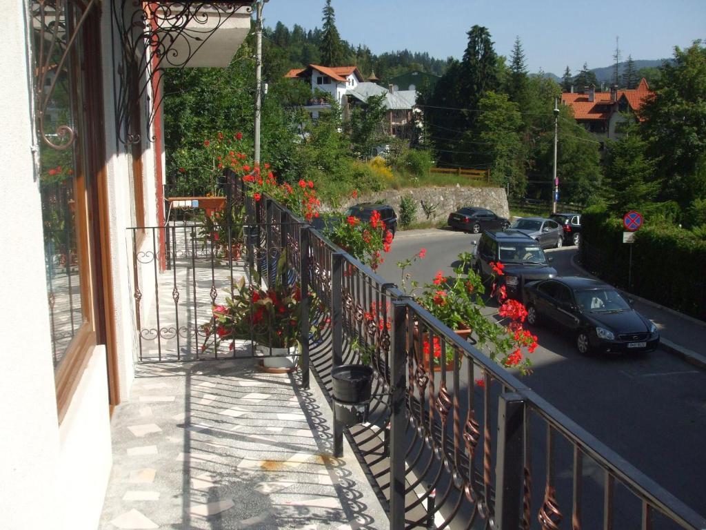 Vila Ana-Maria Sinaia Bagian luar foto